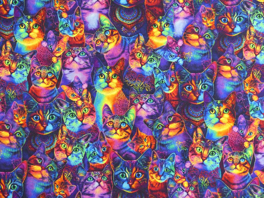 Preview: Patchworkstoff mit frechen Katzen in Neonfarben Von Timeless Treasures